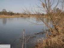 Działka rekreacyjna Pstrokonie. Zdjęcie 1