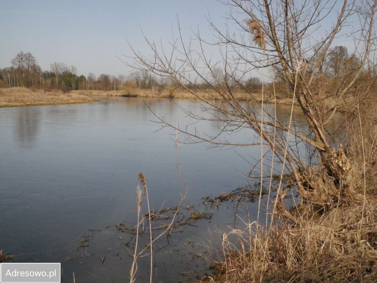 Działka rekreacyjna Pstrokonie. Zdjęcie 2