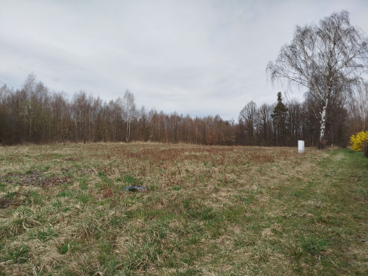 Działka budowlana Jaskrów, ul. Częstochowska 164. Zdjęcie 2