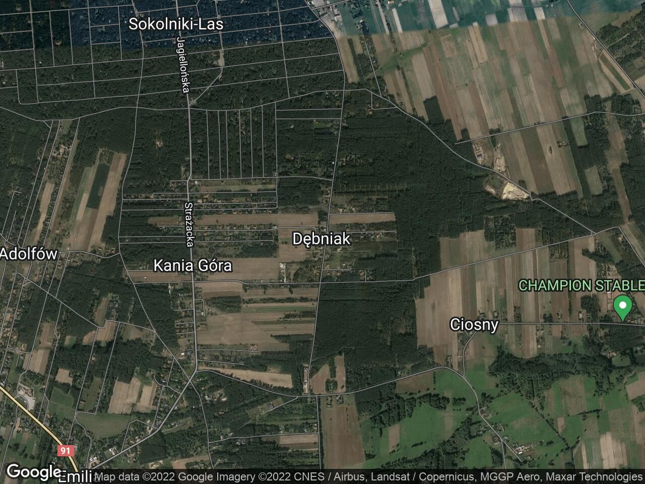 Działka rolno-budowlana Dębniak, ul. Wiśniowa. Zdjęcie 9