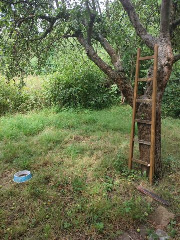 Działka rekreacyjna Legnica, ul. Gliwicka. Zdjęcie 1