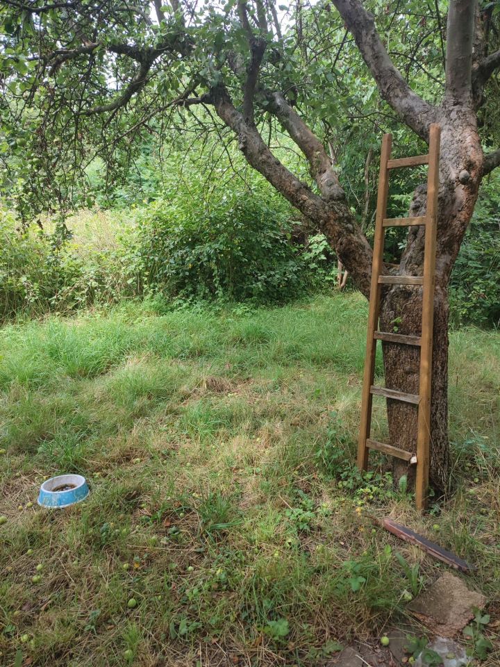 Działka rekreacyjna Legnica, ul. Gliwicka