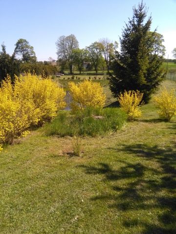 Działka budowlana Skrzydłowo. Zdjęcie 1