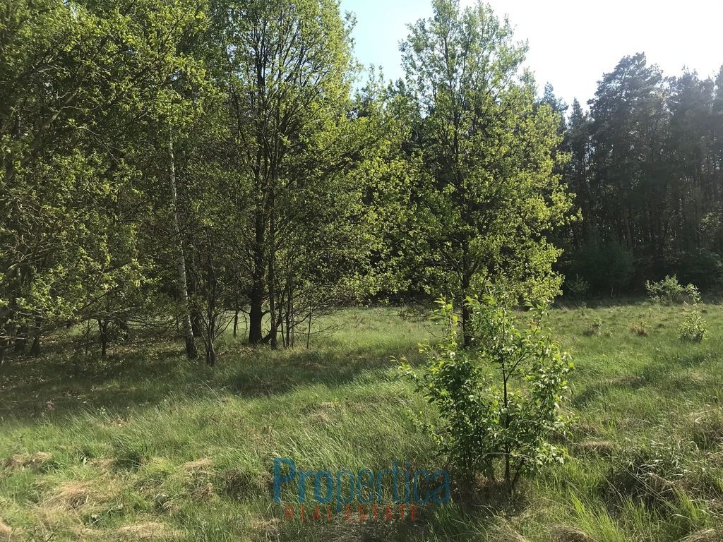 Działka budowlana Andrzejów. Zdjęcie 4