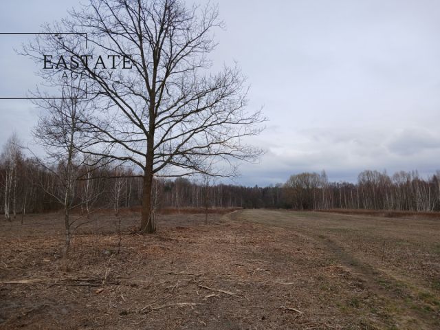 Działka budowlana Koryta. Zdjęcie 2