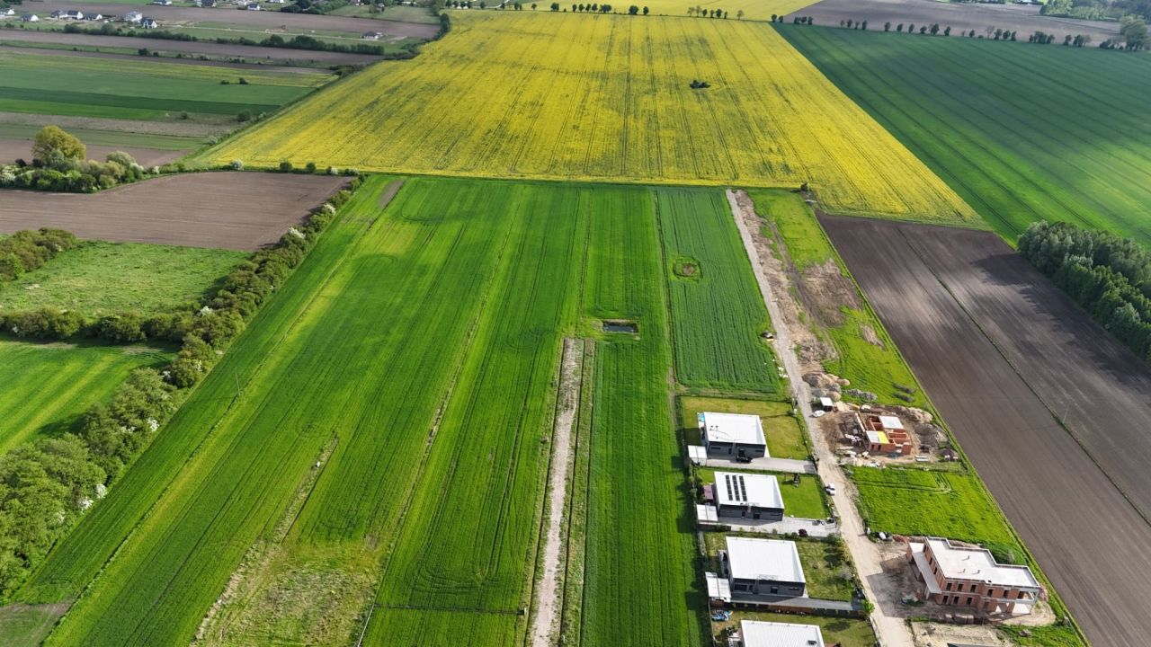 Działka rolno-budowlana Konstantynów Łódzki, ul. Niesięcin. Zdjęcie 5