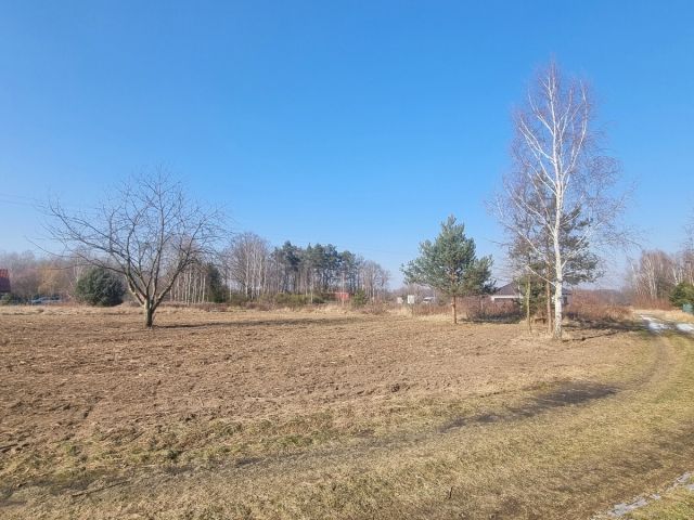 Działka budowlana Osolin. Zdjęcie 8