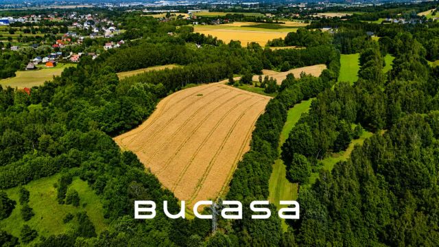 Działka rolna Ochmanów. Zdjęcie 5
