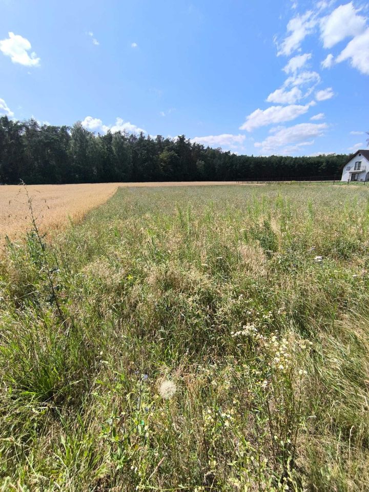 Działka budowlana Lubiaszów Nowy Lubiaszów, ul. Dębowa. Zdjęcie 5