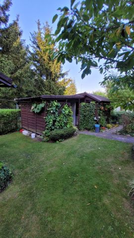 Działka rod Biedrusko. Zdjęcie 1