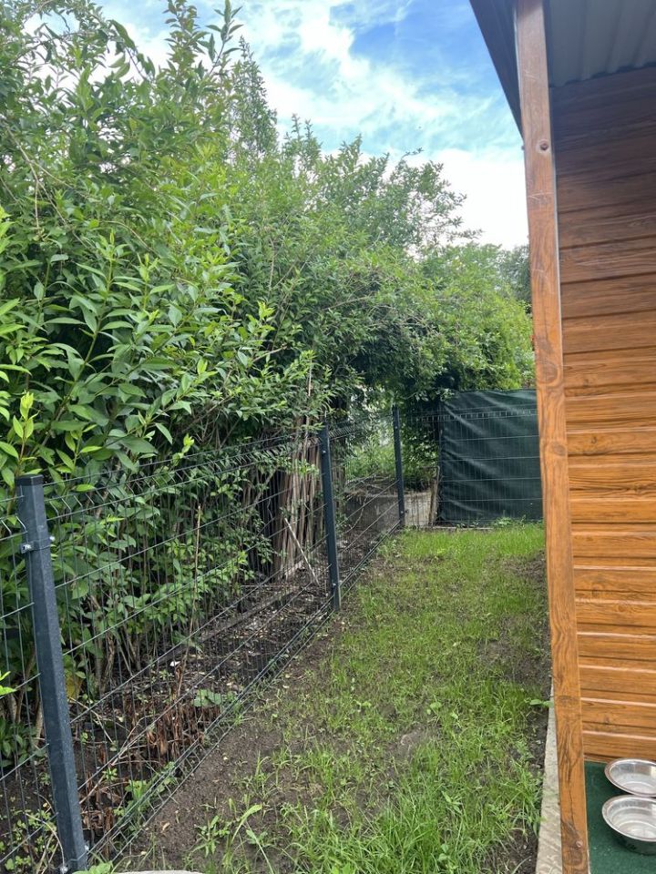 Działka rod Piotrków Trybunalski, ul. Sulejowska. Zdjęcie 6