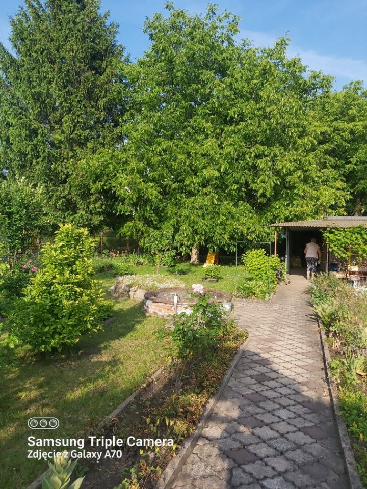 Działka rod Chorzów. Zdjęcie 4