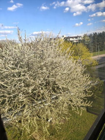 Mieszkanie 2-pokojowe Siedlce Centrum, ul. Prymasa Stefana Wyszyńskiego. Zdjęcie 10