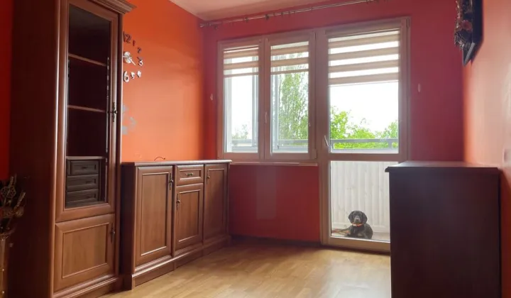 Mieszkanie 2-pokojowe Szczecin Żelechowa, ul. Hoża