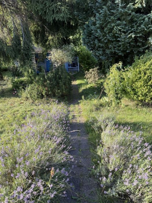 Działka rod Gdańsk Jasień, ul. Gronostajowa. Zdjęcie 7