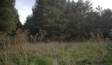 Działka budowlana Łoś, ul. Spółdzielcza