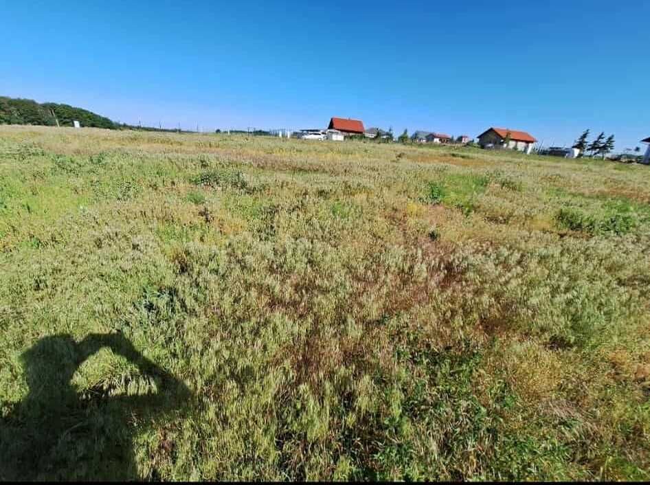 Działka budowlana Jaszkowo. Zdjęcie 2