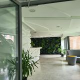 Mieszkanie 2-pokojowe Olsztyn Śródmieście, ul. Grunwaldzka 14a. Zdjęcie 1