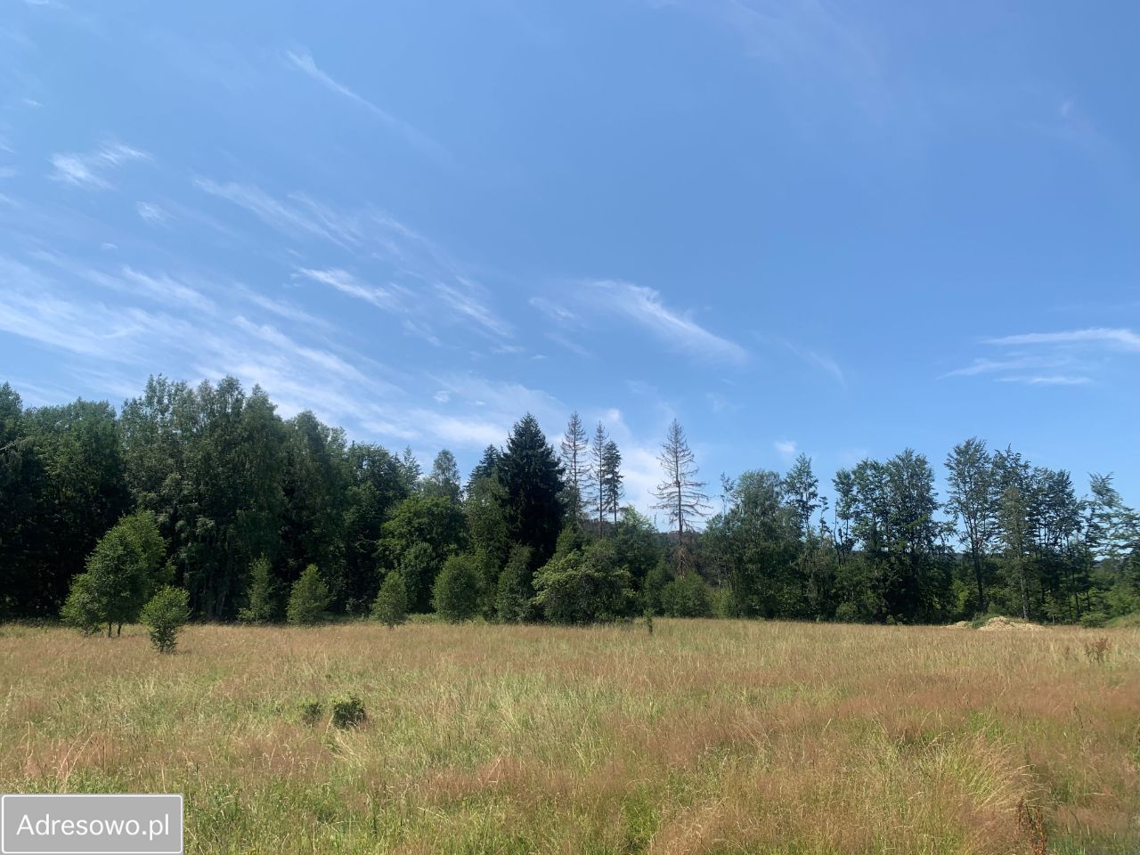 Działka budowlana Studzienno. Zdjęcie 10
