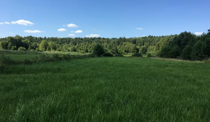 Działka rolna Górne Maliki