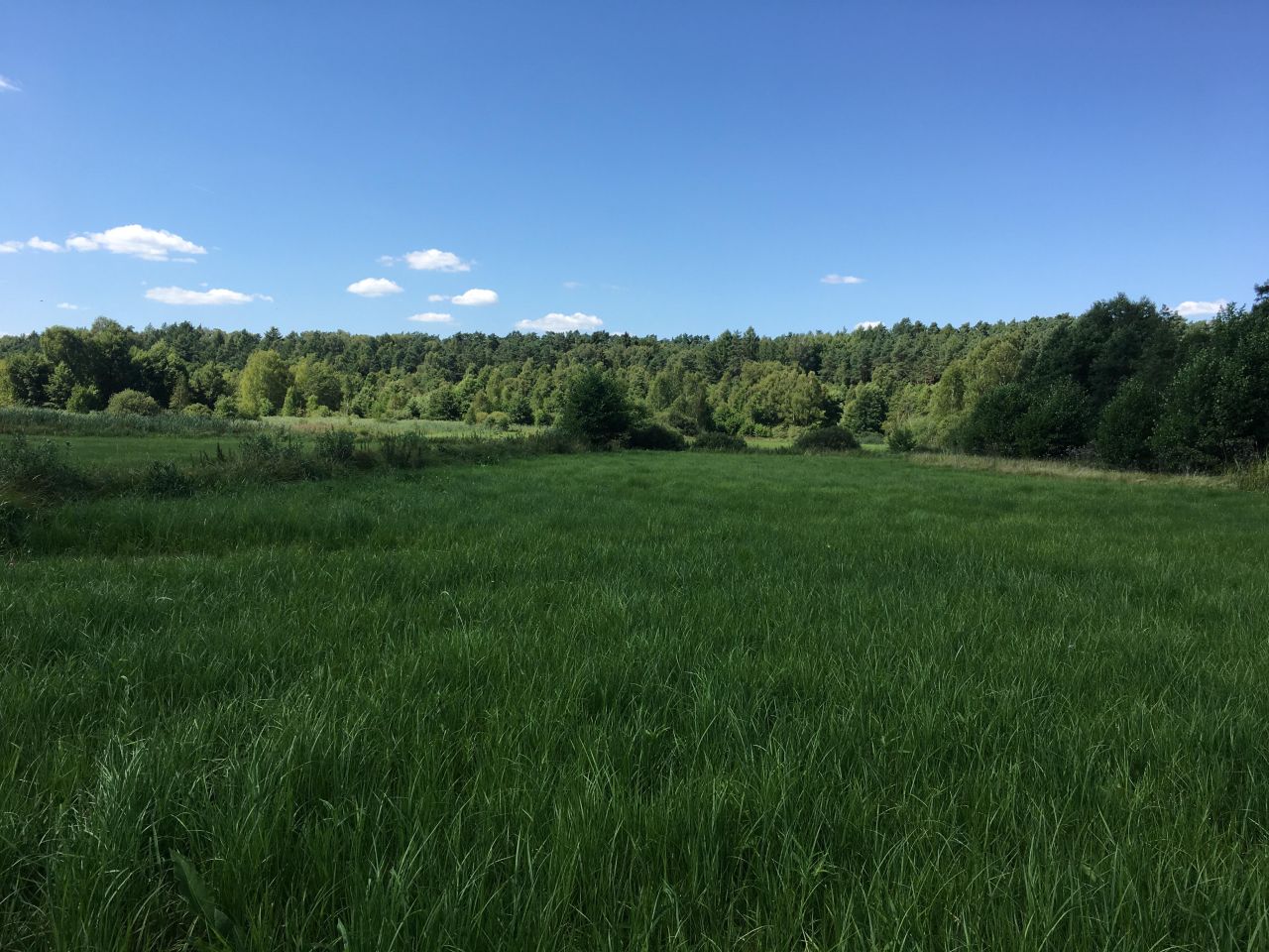 Działka rolna Górne Maliki