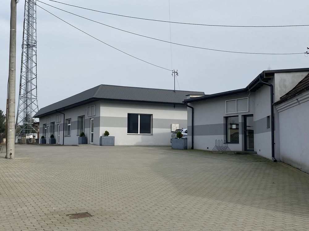 Lokal Panki, ul. Powstańców Śląskich. Zdjęcie 6