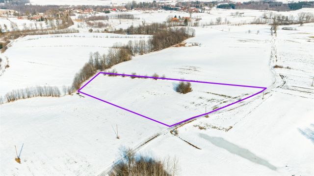 Działka rolna Orłowo. Zdjęcie 3