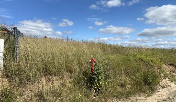 Działka rekreacyjna Izbica Kujawska