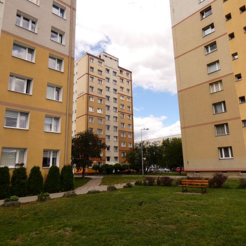 Mieszkanie 1-pokojowe Bydgoszcz Szwederowo, ul. Ludwika Solskiego. Zdjęcie 19