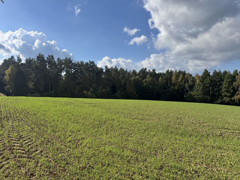 Działka budowlana Smołdzino, ul. Techlinka. Zdjęcie 6