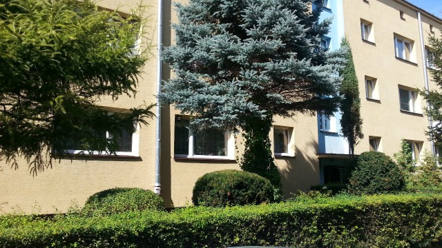 Mieszkanie 3-pokojowe Ciechanów, ul. Wyzwolenia. Zdjęcie 1