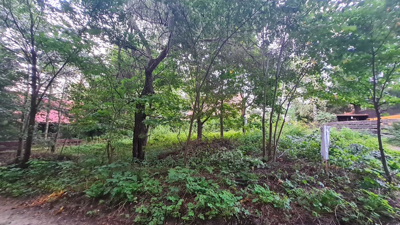 Działka rekreacyjna Grabowo