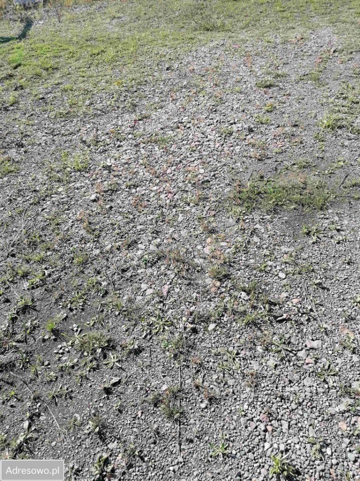 Działka inwestycyjna Przytkowice. Zdjęcie 3