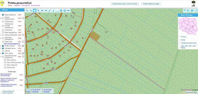 Działka leśna Skurcza. Zdjęcie 1