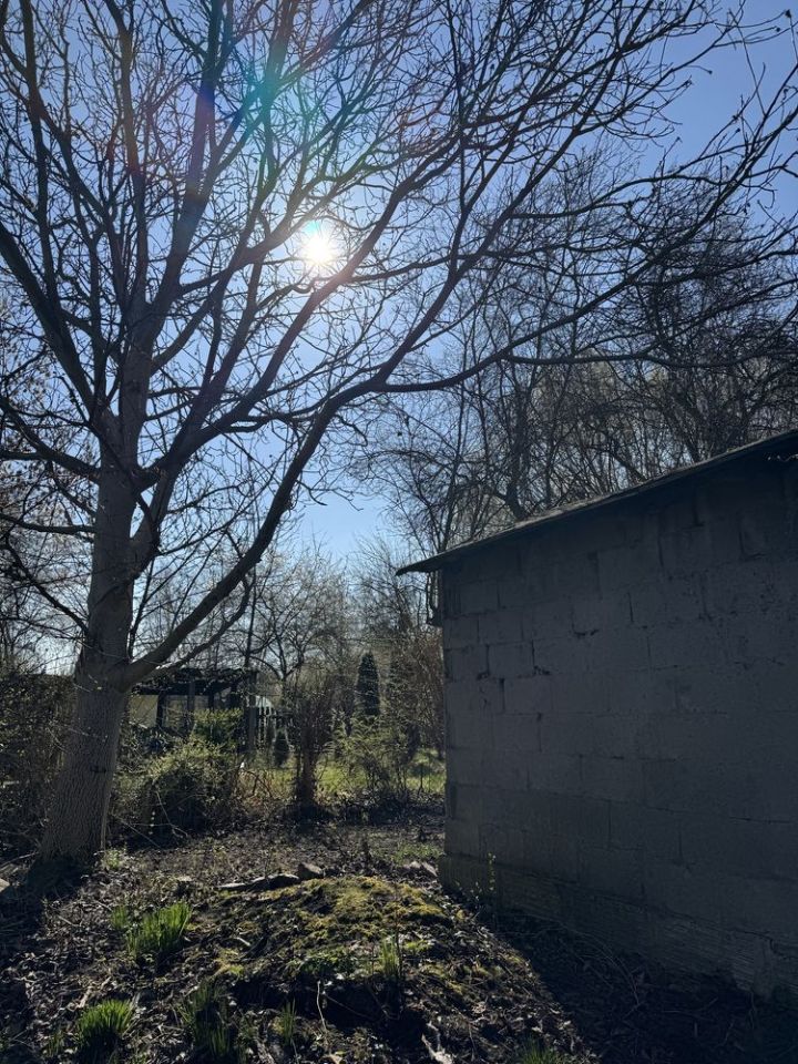 Działka rod Gliwice Śródmieście. Zdjęcie 3