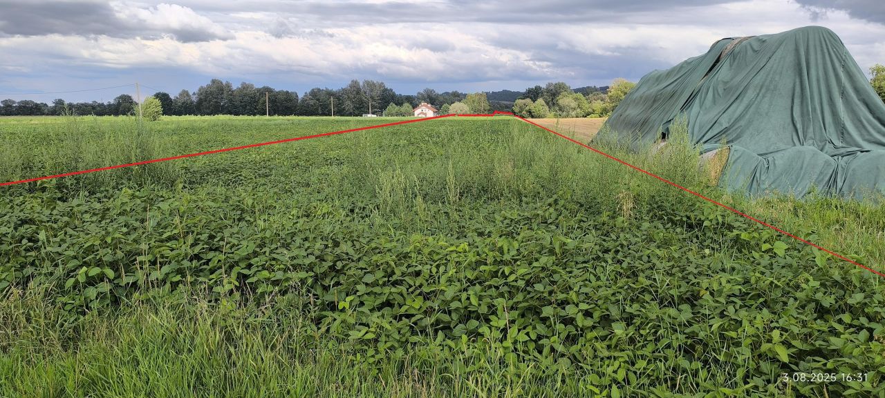 Działka rolno-budowlana Pierzchów Pierzchowiec. Zdjęcie 2