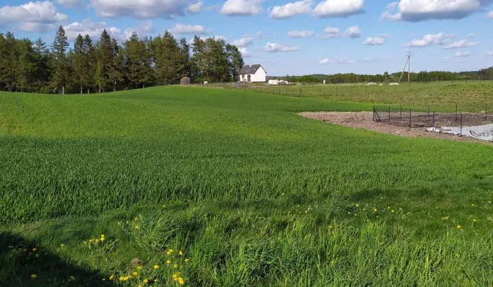 Działka budowlana Połęczyno, ul. Żołnierzy Niezłomnych
