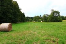 Działka rolna Jaźwiny. Zdjęcie 3