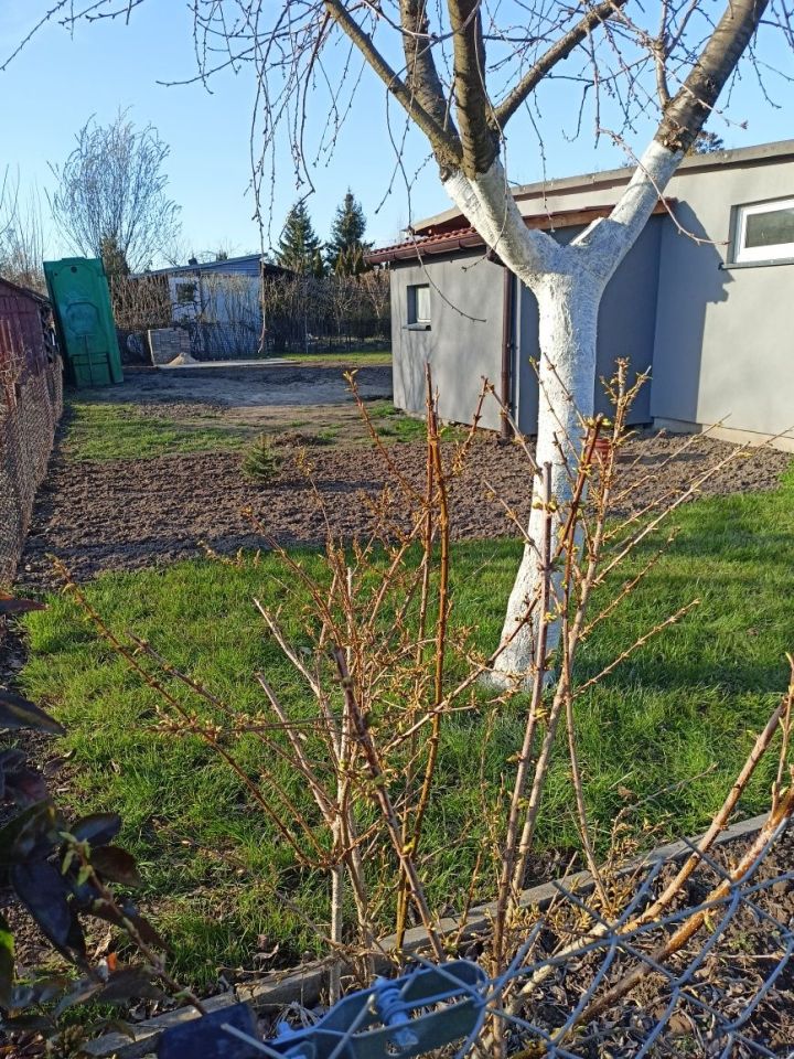 Działka rod Płock, ul. Medyczna. Zdjęcie 6