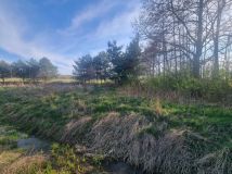 Działka rolna Nowy Łajszczew. Zdjęcie 1