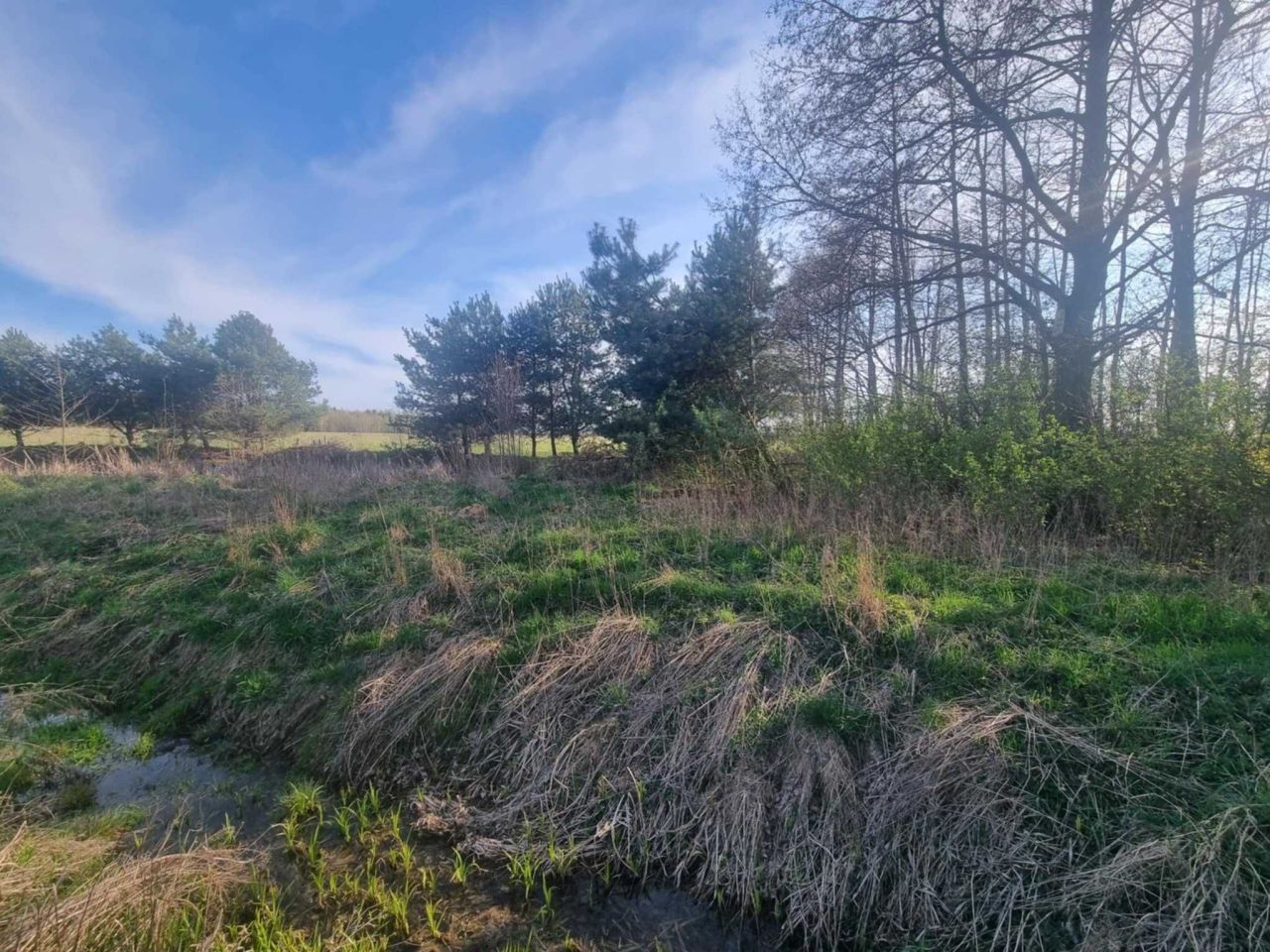 Działka rolna Nowy Łajszczew. Zdjęcie 2