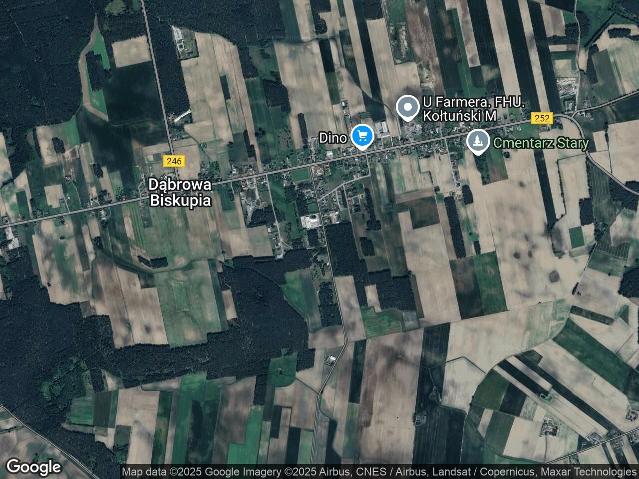 Działka rolna Dąbrowa Biskupia, ul. Topolowa