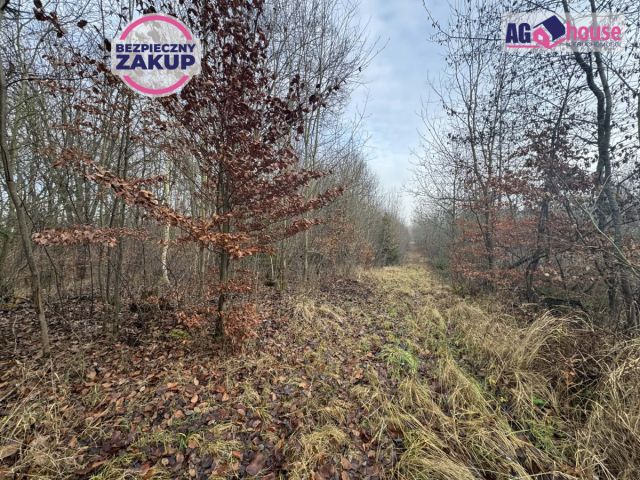 Działka inwestycyjna Gdańsk Kokoszki, ul. Grzybowa. Zdjęcie 2