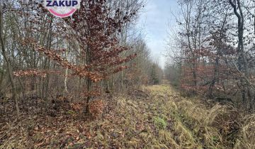 Działka inwestycyjna Gdańsk Kokoszki, ul. Grzybowa