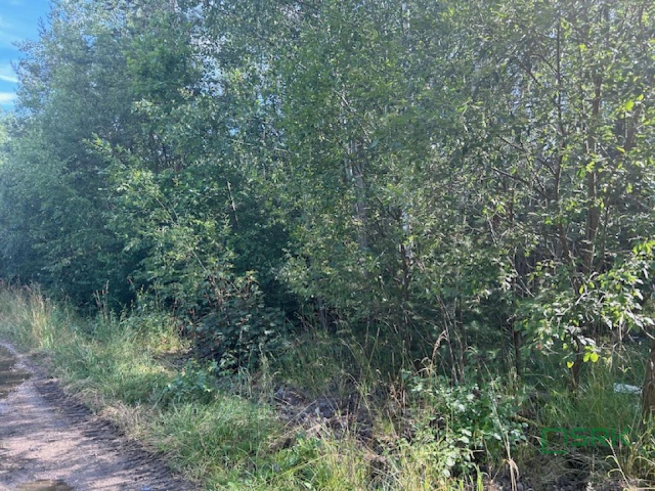 Działka Mysłowice, ul. 11 Listopada. Zdjęcie 2