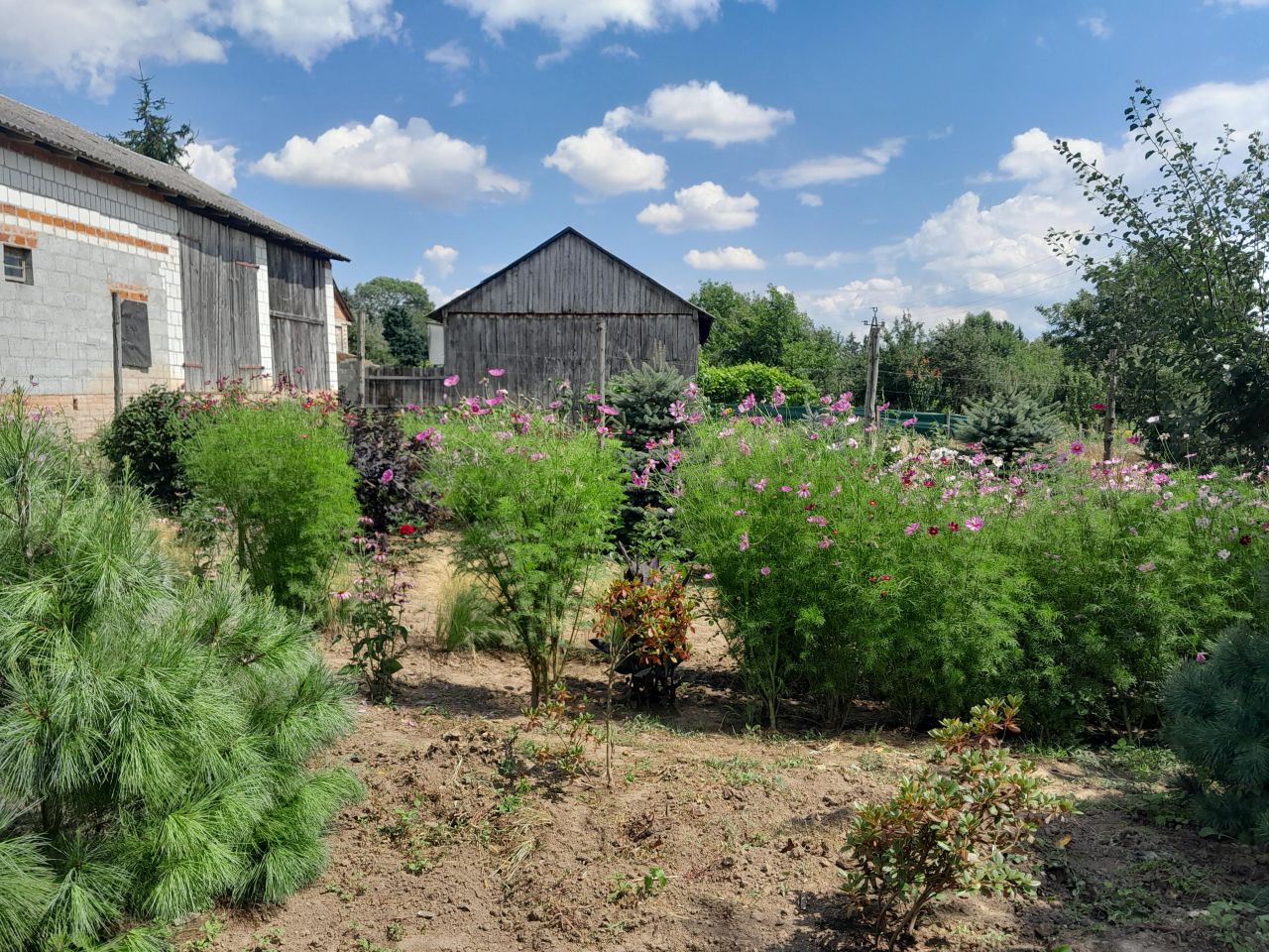 dom wolnostojący, 5 pokoi Grabowiec-Góra. Zdjęcie 19