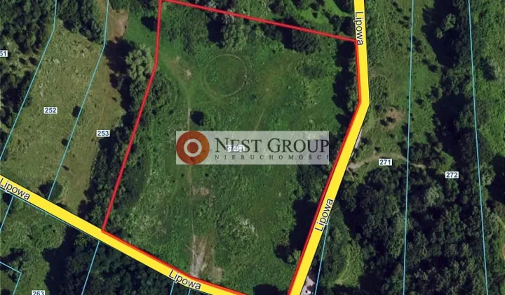 Działka inwestycyjna Skierdy, ul. Lipowa