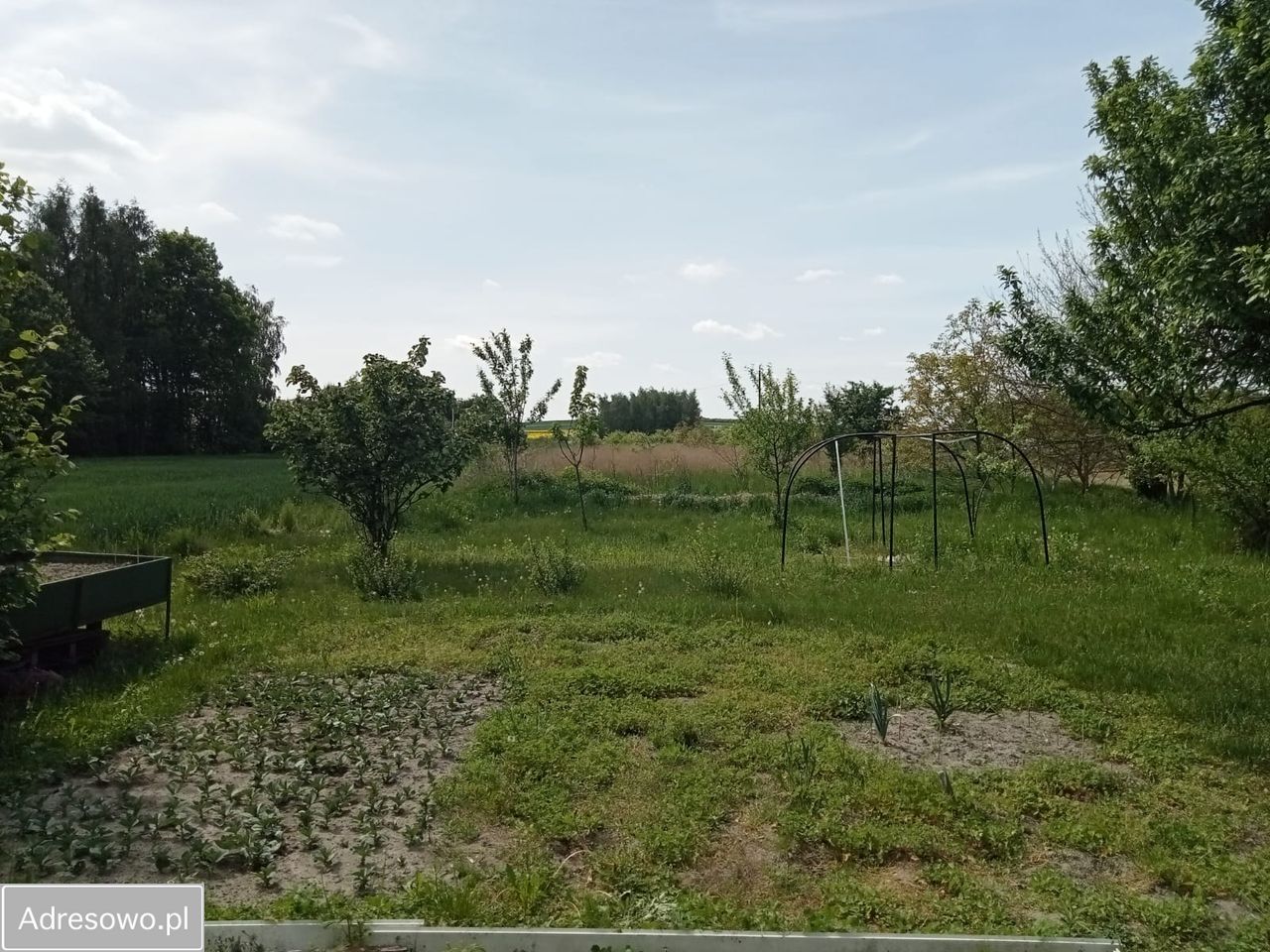 dom wolnostojący Jędrzejów. Zdjęcie 4
