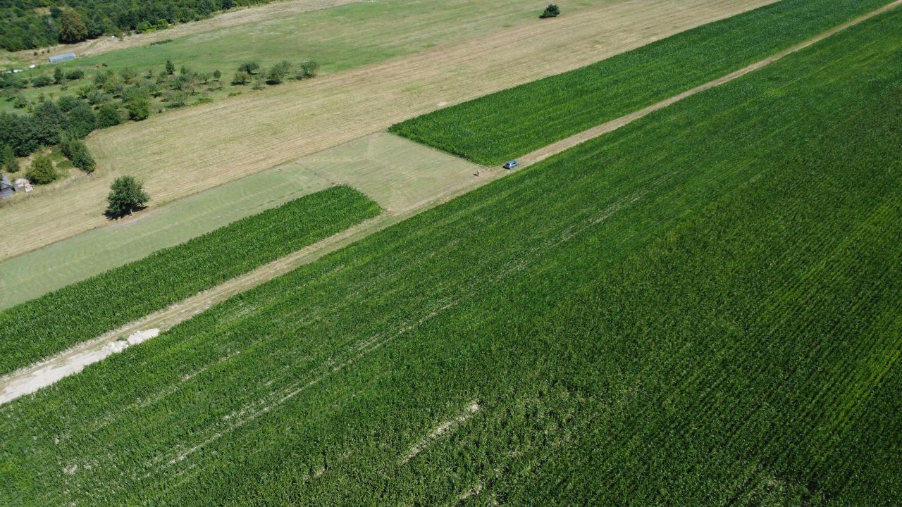 Działka rolno-budowlana Wielebnów. Zdjęcie 3