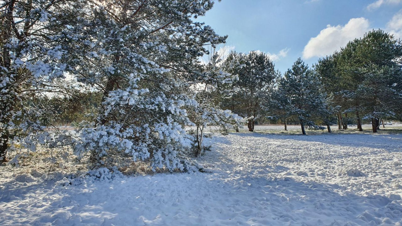 Działka budowlana Skarbka Bidzińszczyzna. Zdjęcie 11